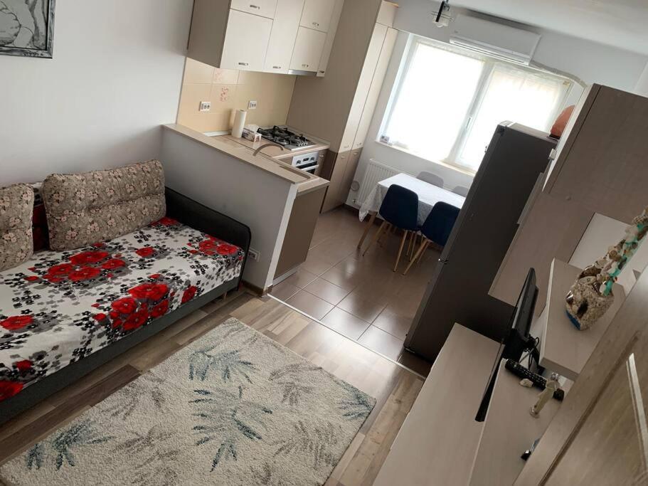 Lovely Bacau 1 Bedroom Apartment المظهر الخارجي الصورة